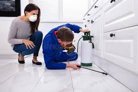 Best Fumigation Services  in Homerville, GA